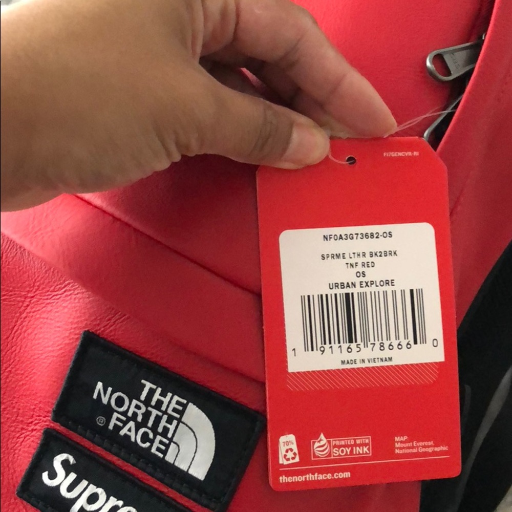 Supreme/North Face Leather Backpack 🔥🔥🔥SOLD🔥 - Picture 6 of 8